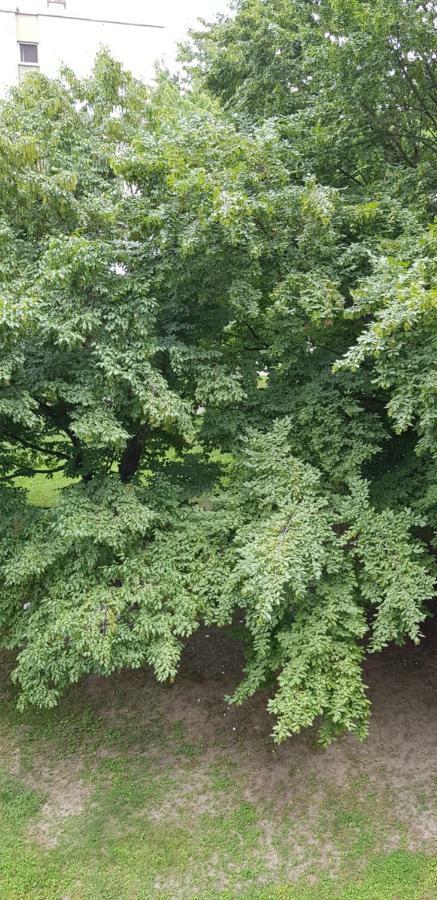 Apartamento Orhideja Osijek Exterior foto